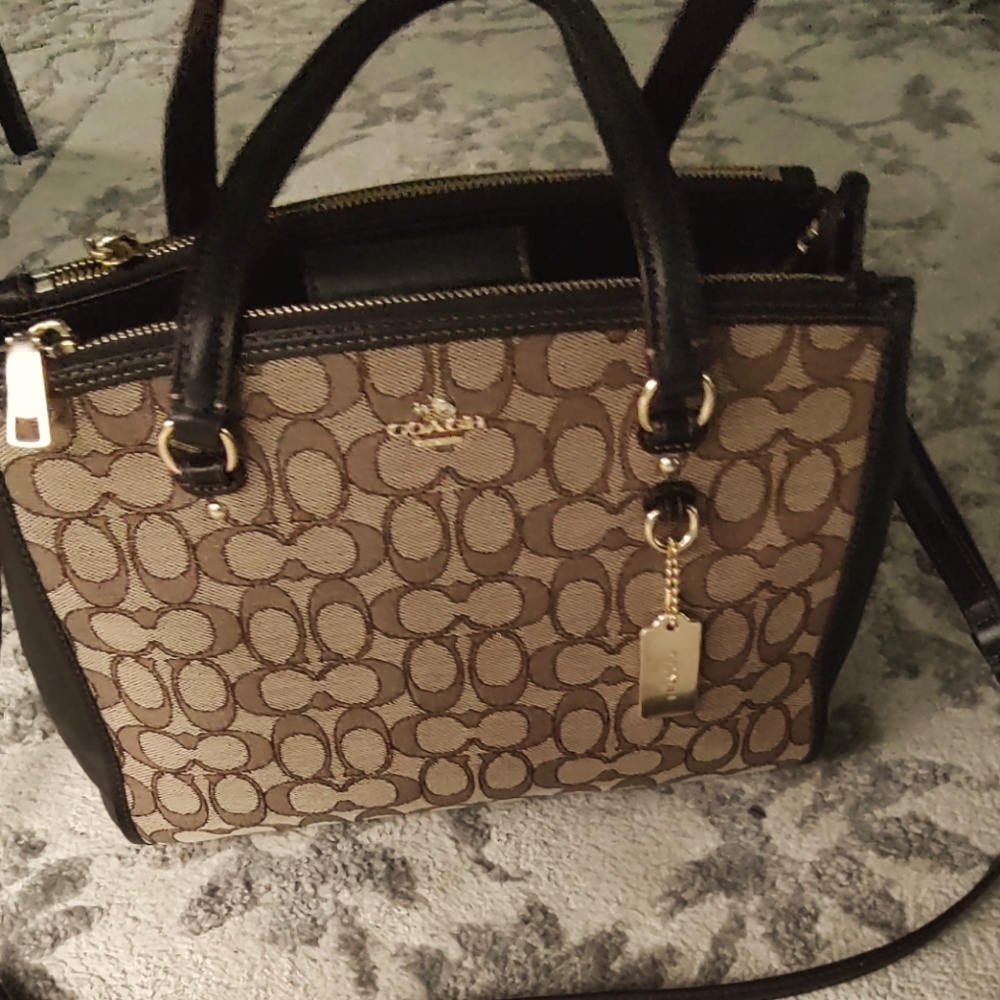 Coach carryall